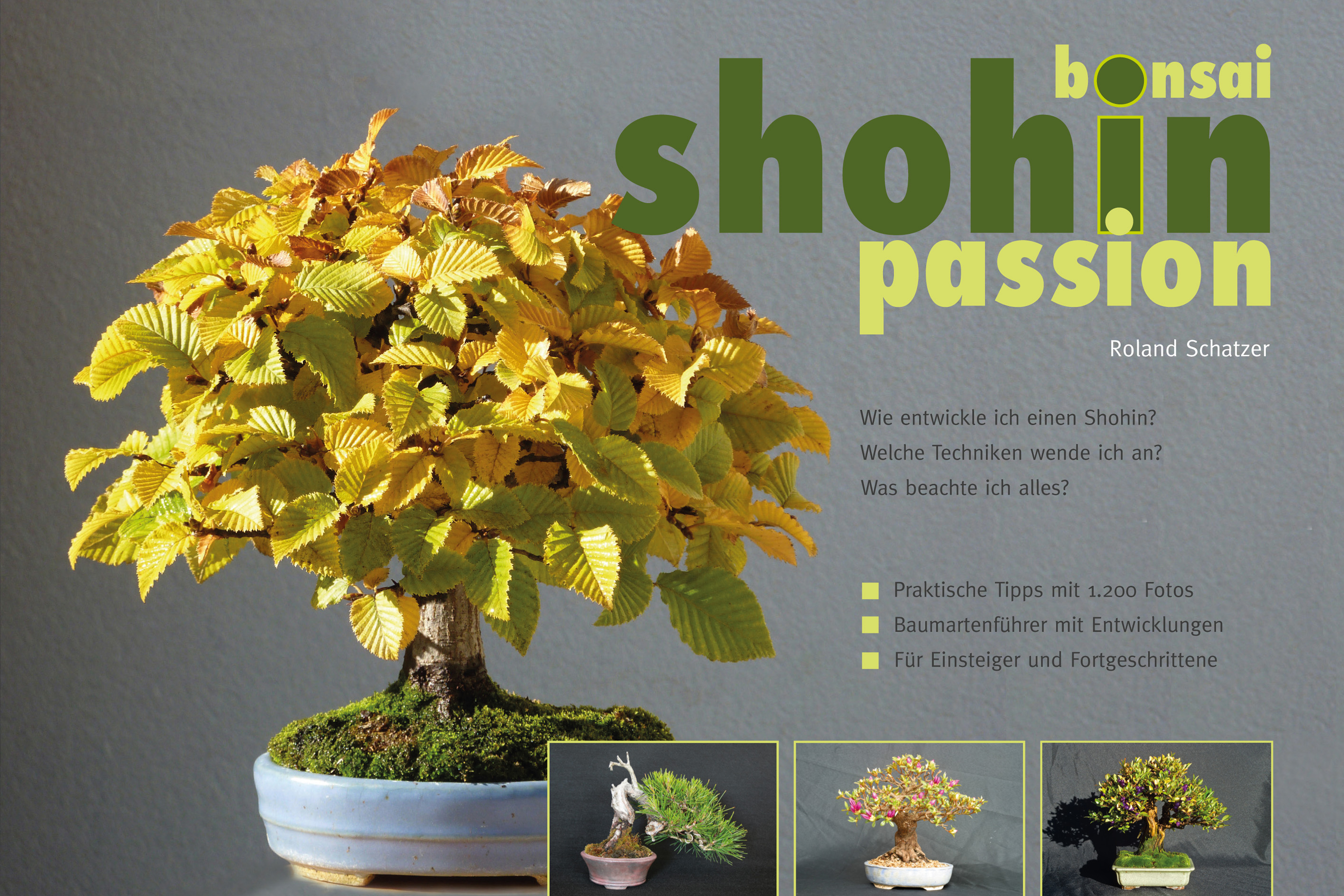 Bonsai Shohin Passion Europe 