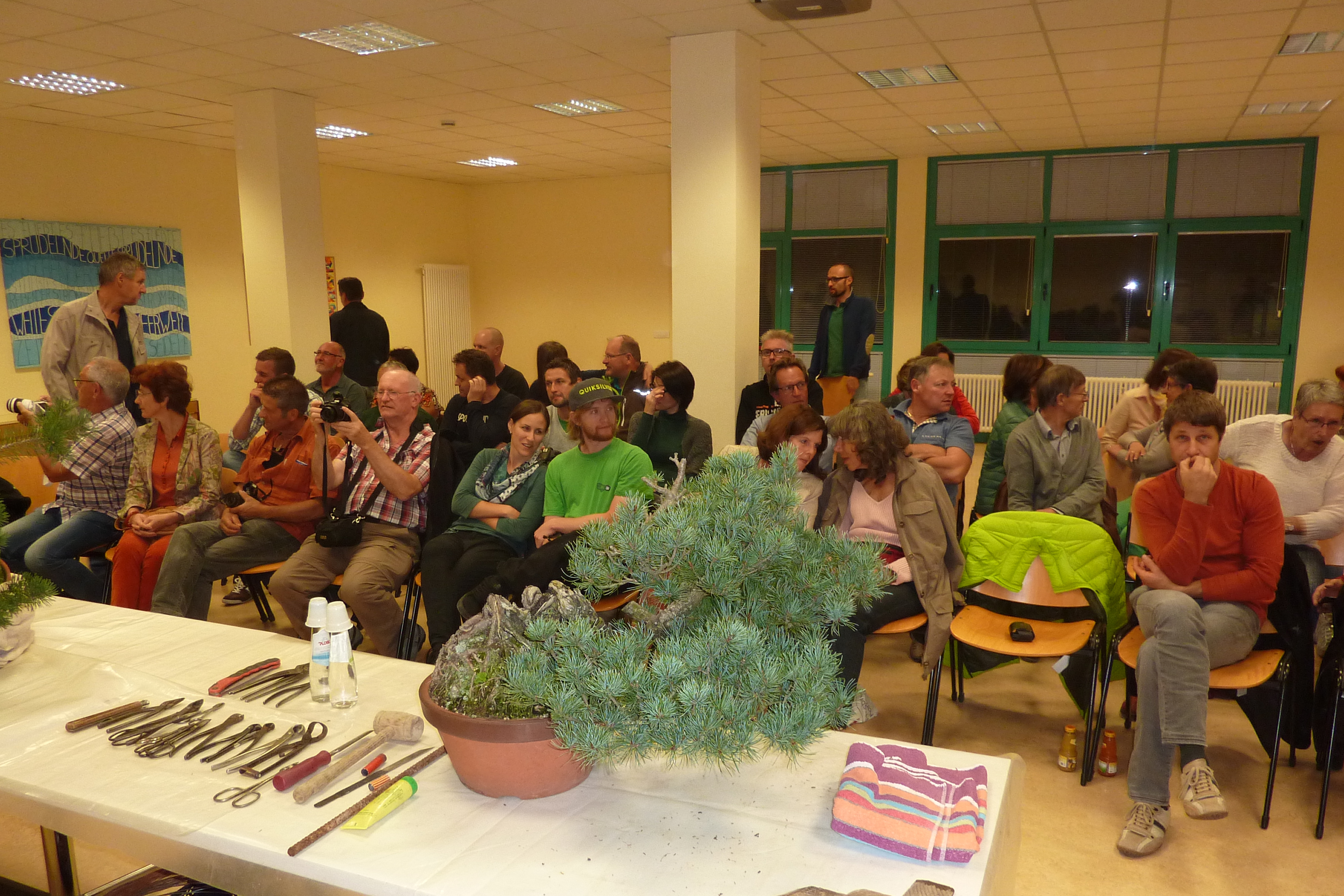 Bonsai Club Brixen