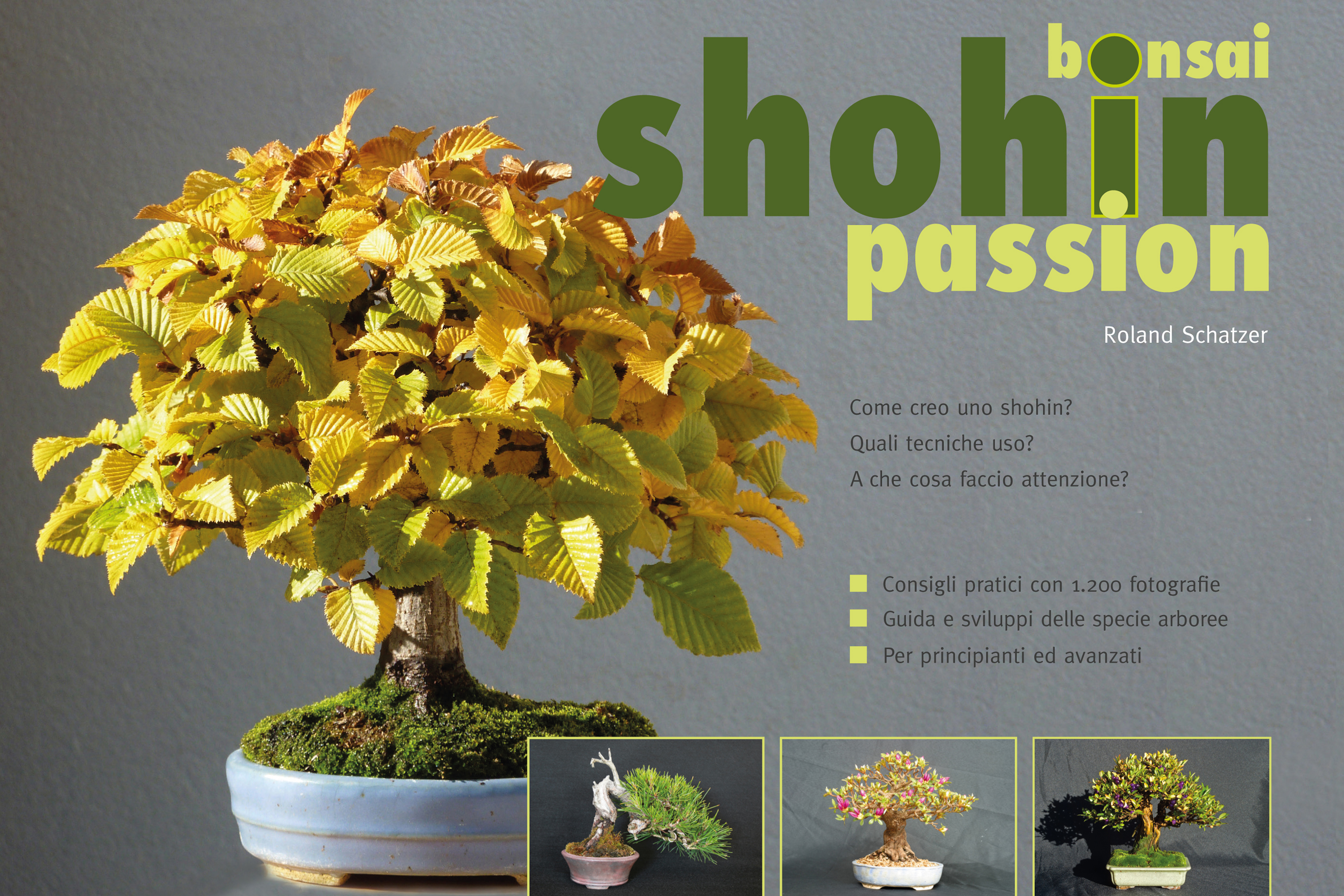 Shohin Italiano Italia libro