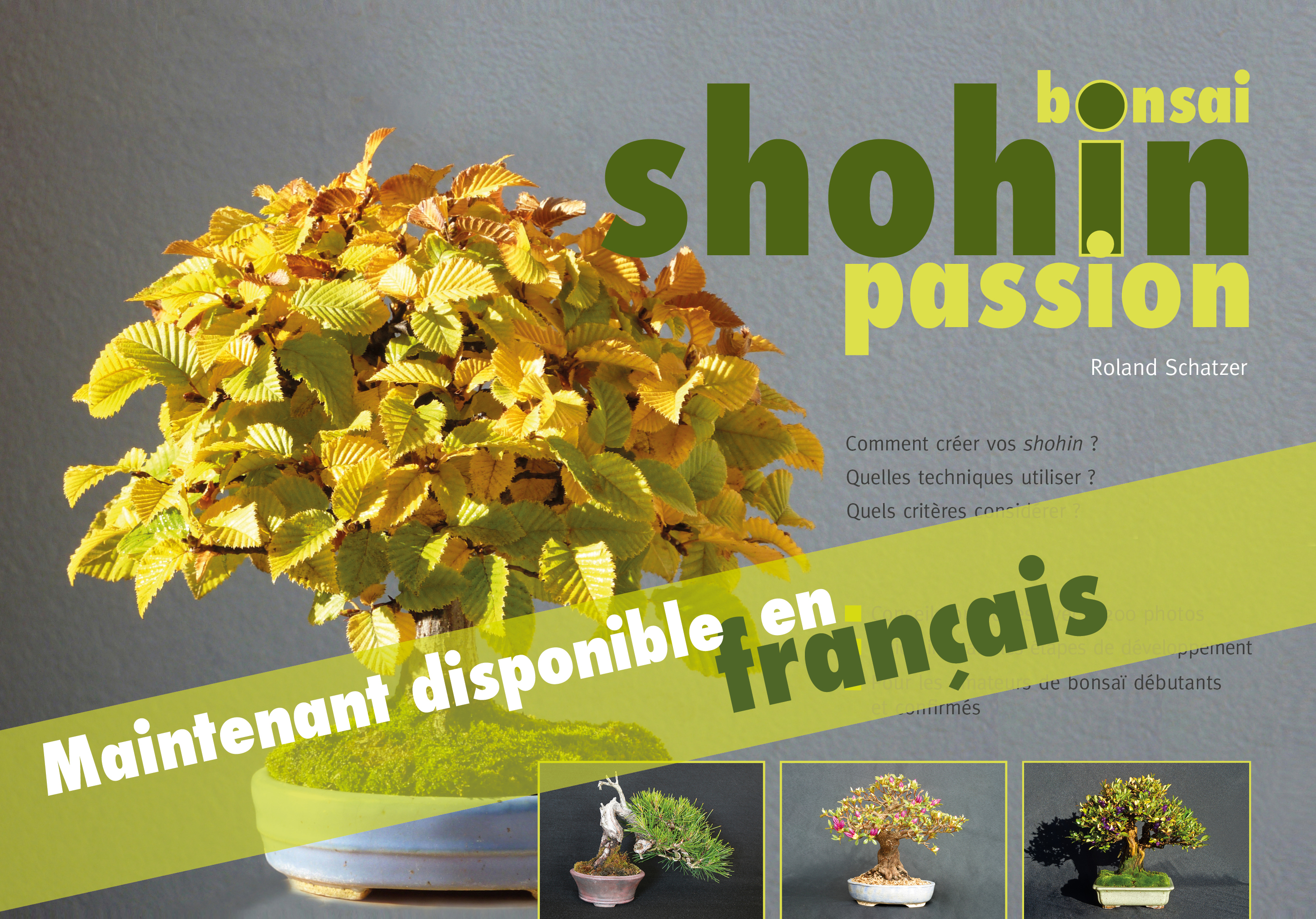 Bonsai Shohin France